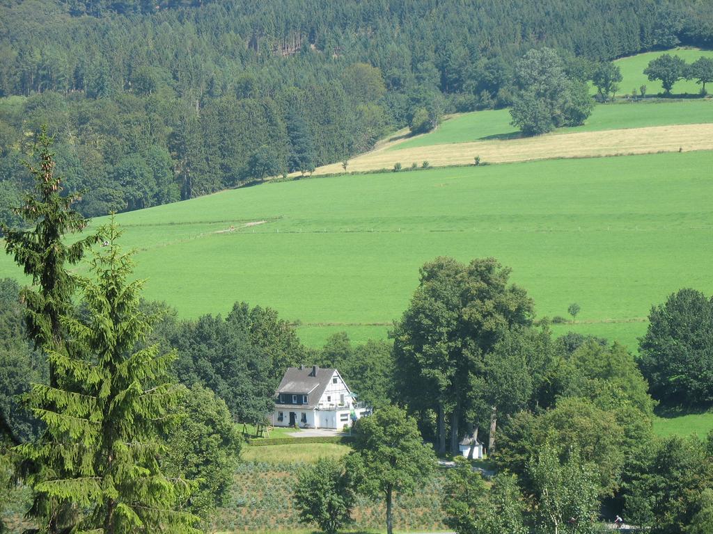 Pension Haus Am Walde Schmallenberg Extérieur photo