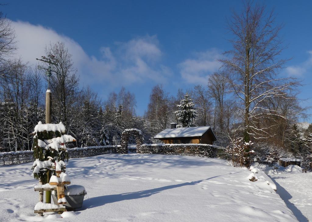 Pension Haus Am Walde Schmallenberg Extérieur photo