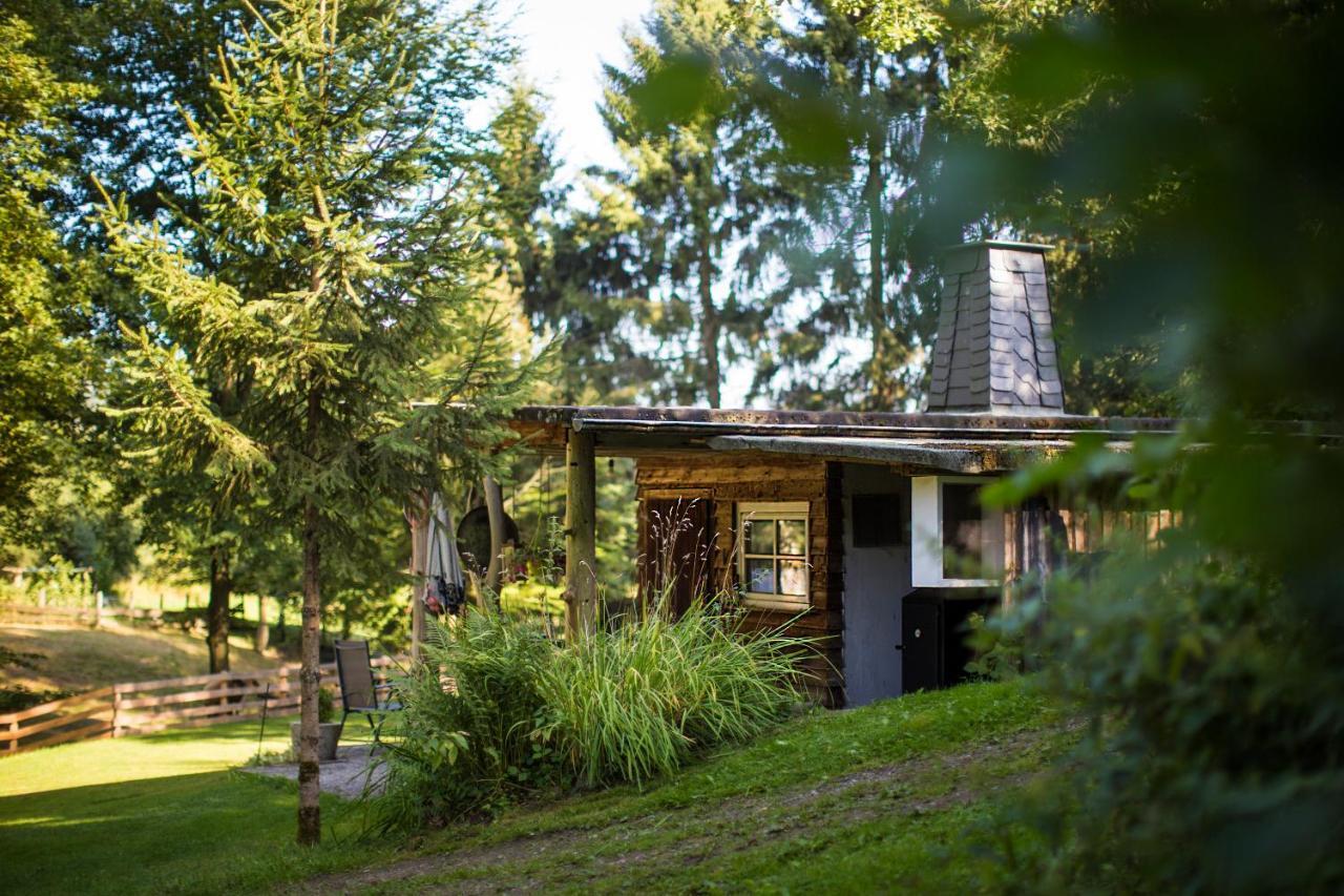 Pension Haus Am Walde Schmallenberg Extérieur photo